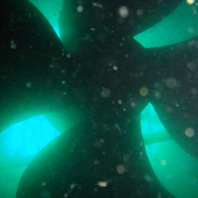 Water Intake Grids and Thruster Cleaning